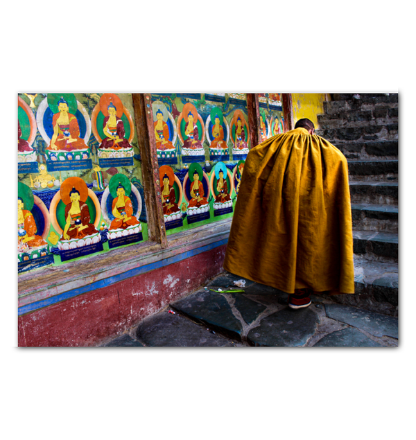 Monk in Yellow Robes